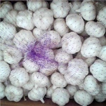 פרימיום Loose Pack שום